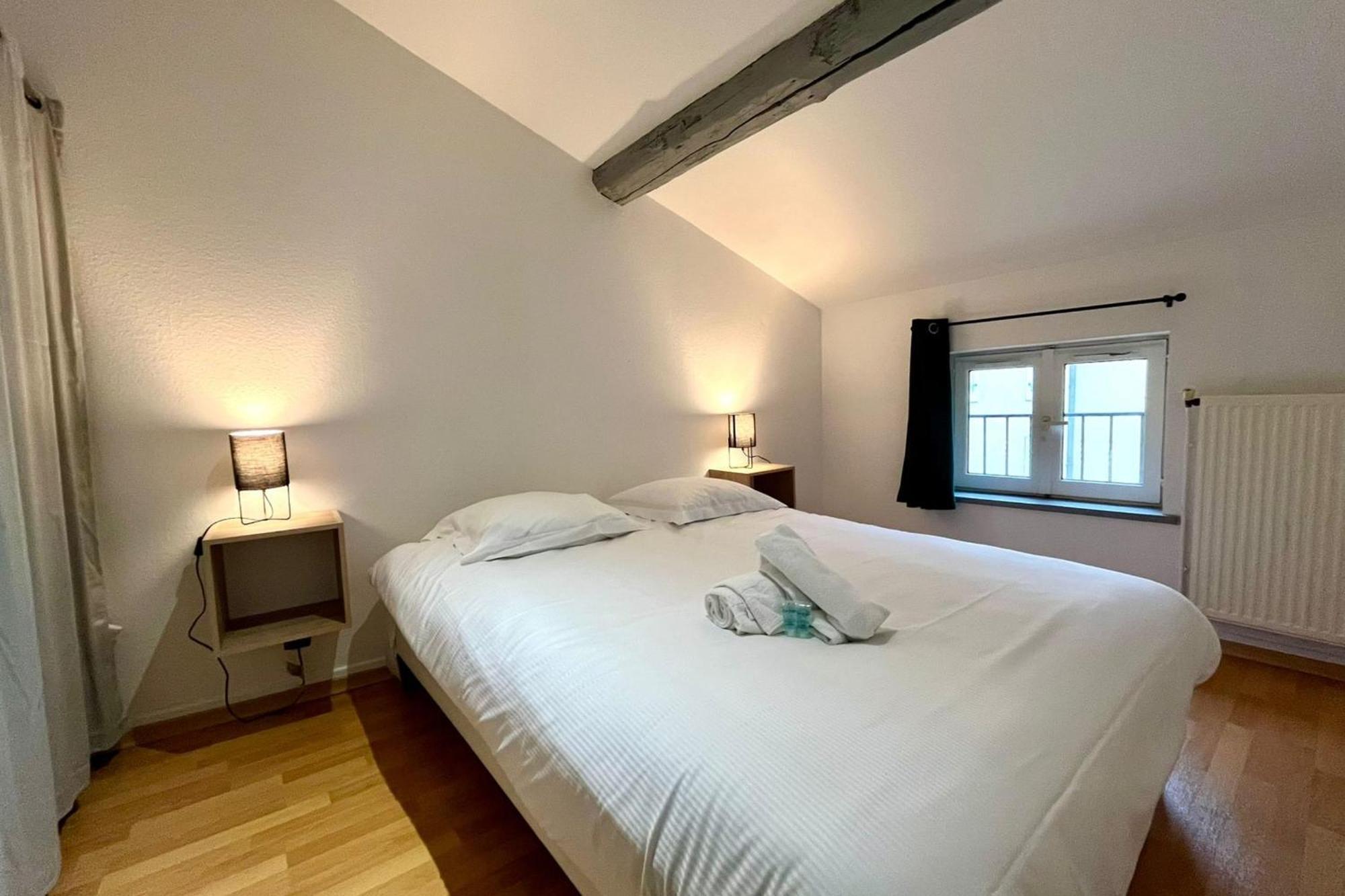 Le Duplex Des Dames Apartment Nancy Exterior photo